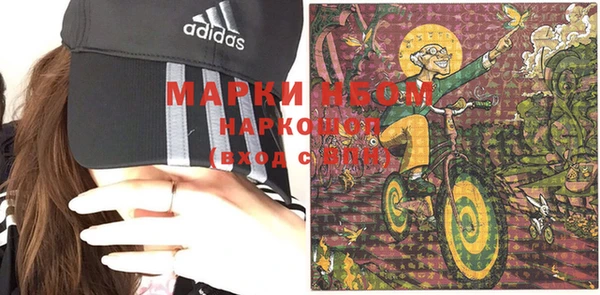 прущий лед Инсар