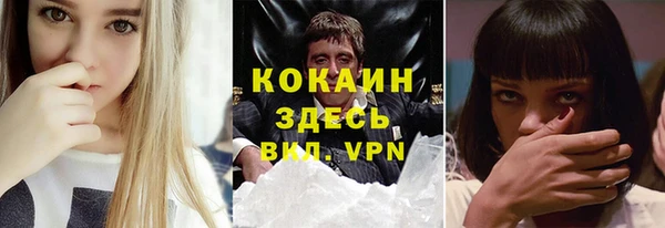 твердый Инта