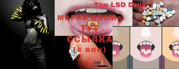 твердый Инта