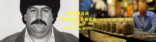 твердый Инта