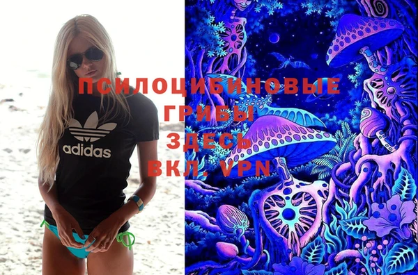 твердый Инта