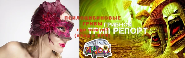 твердый Инта
