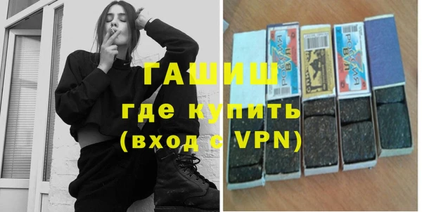 твердый Инта